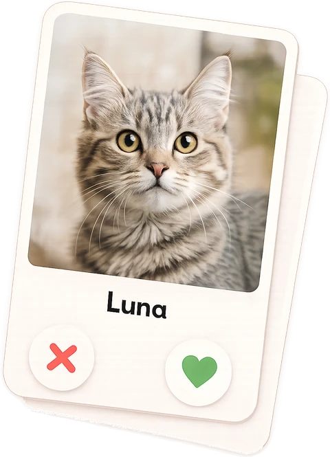 Luna, a Cat Name Tinder card